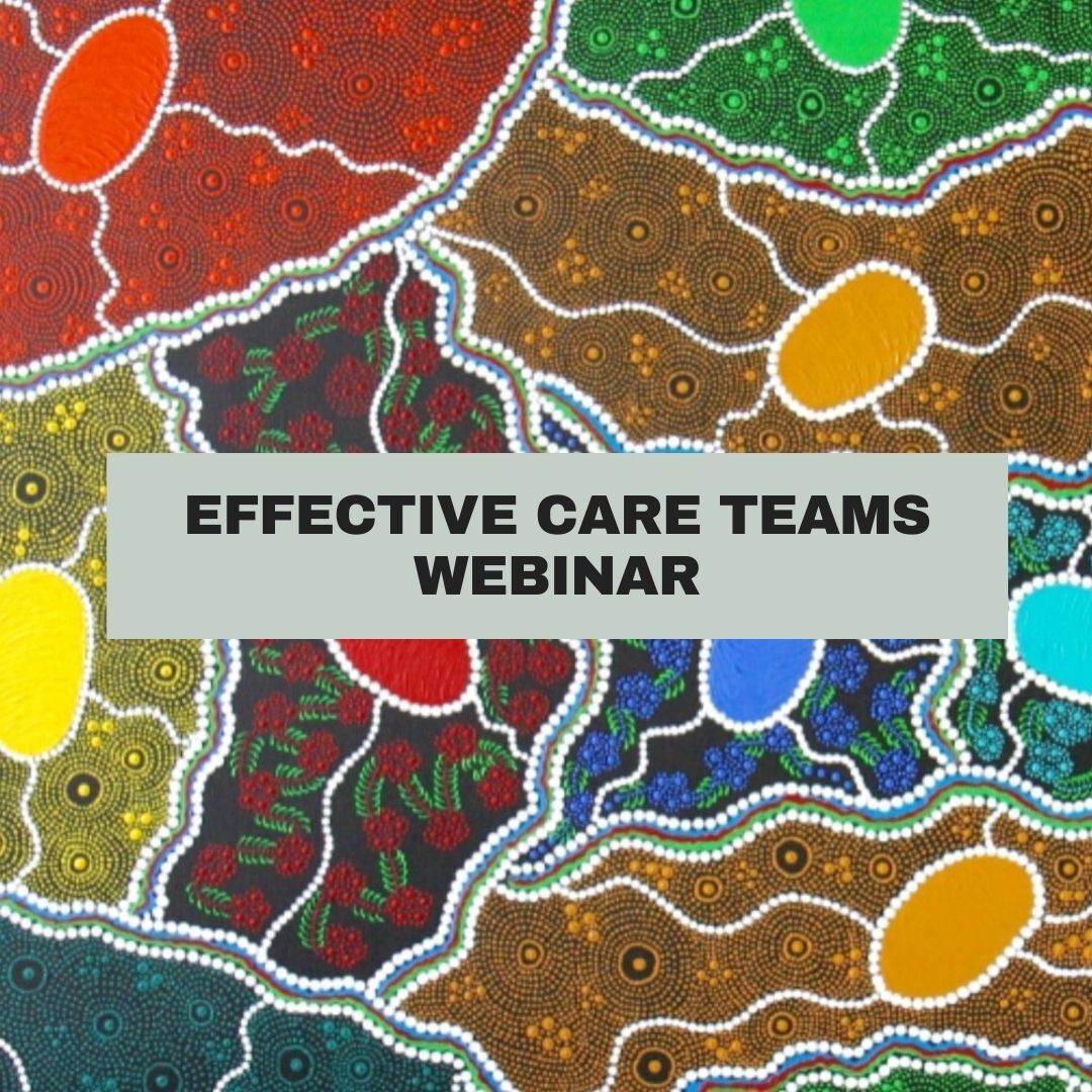 Effective Care Teams Webinar