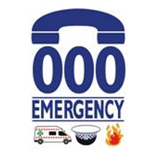 Emergency Services logo